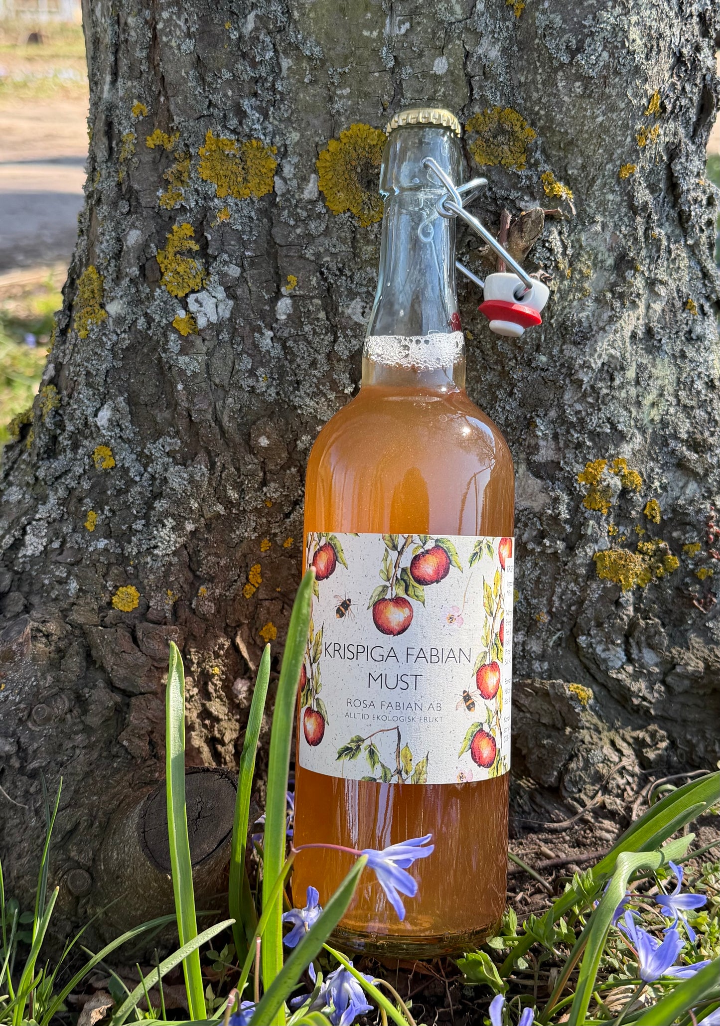 Äppelmust Krispiga Fabian 75 cl