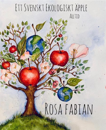 Rosa fabian, Design My Feldt